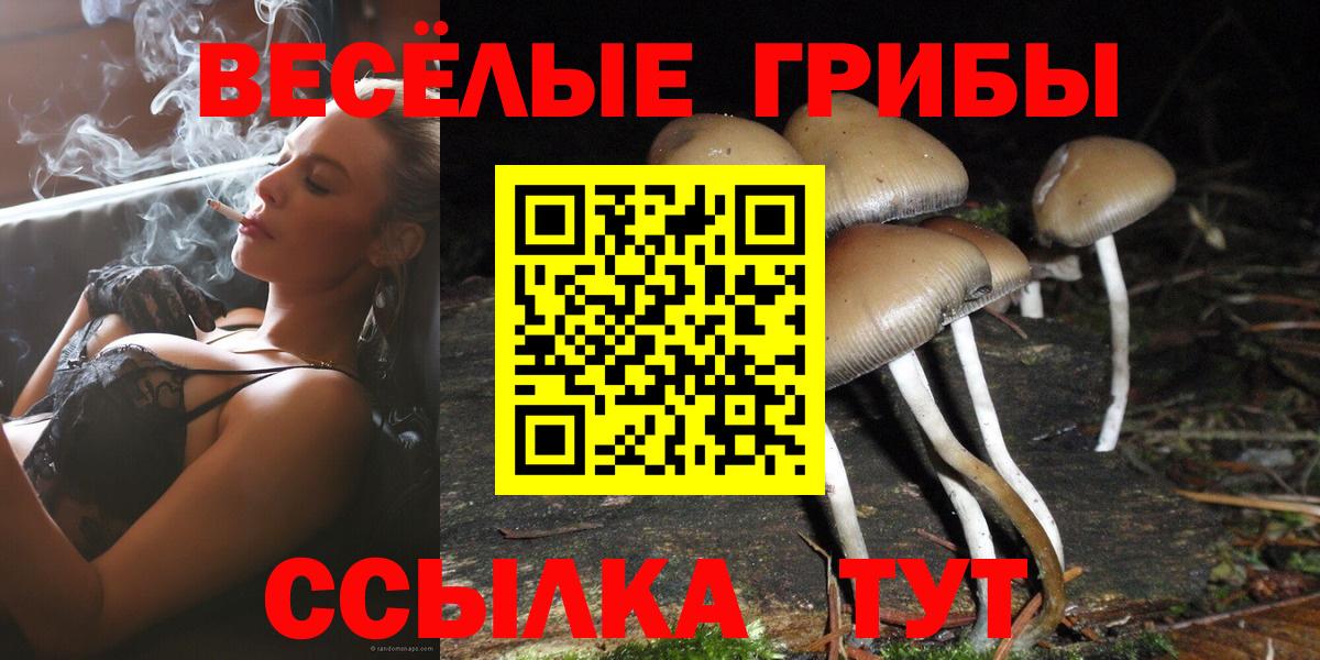 Псилоцибиновые грибы ЛСД  Вход с VPN  Пушкино 